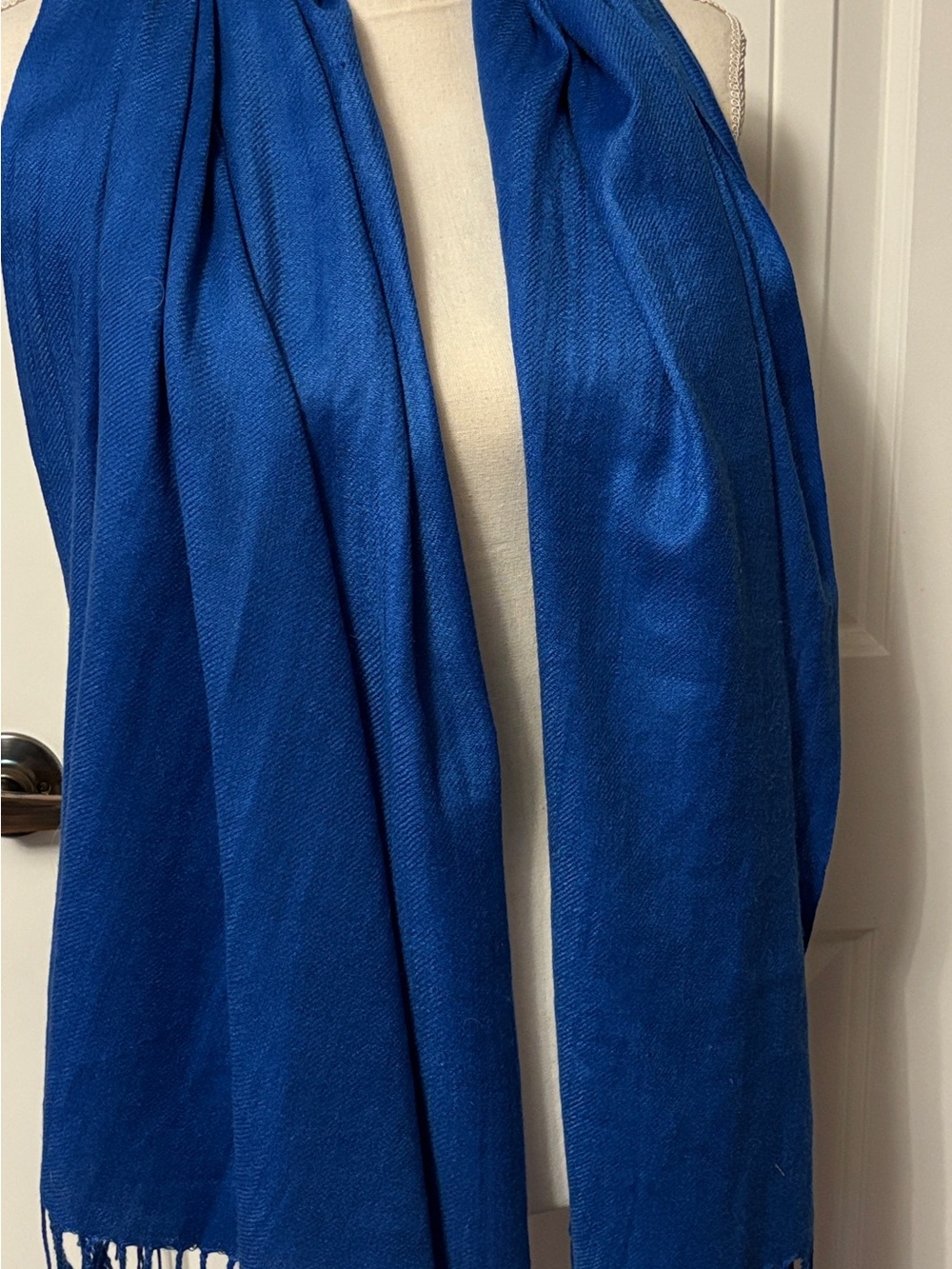 pashmina Royal Blue Solid Pashmina Scarf